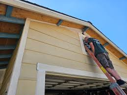 Best Siding Painting and Refinishing  in Hernando Beach, FL